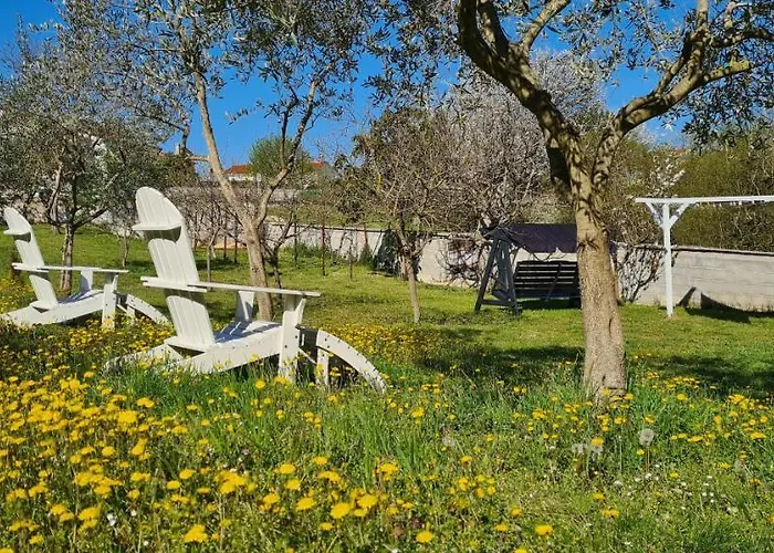 بيت ضيافة La Pergola